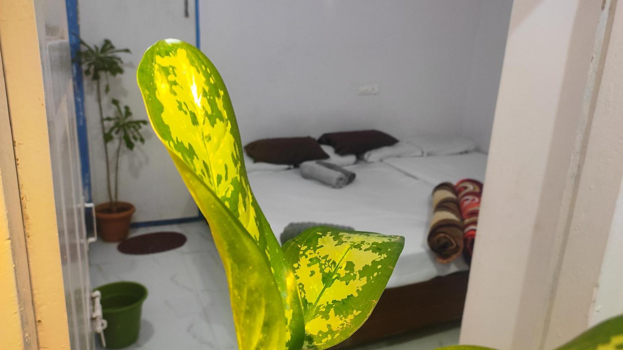 Adh Amilia Gardens Hotel Narasimharaja Puram Екстериор снимка